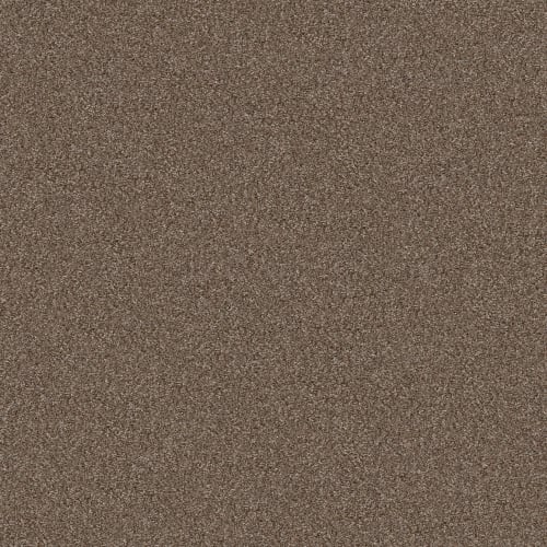 YES YOU CAN II 12' in Worn Path Carpet