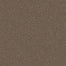 YES YOU CAN II 12' in Worn Path Carpet