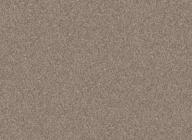 YES YOU CAN III 15' in Subtle Clay Carpet