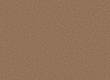 TONAL COMFORT II in Terracotta Pot Carpet