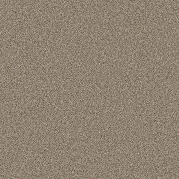 Parchment
