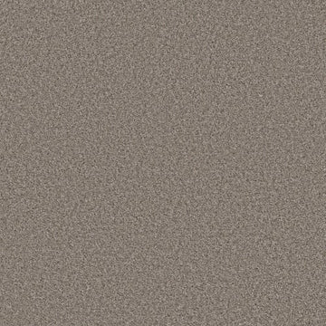 Graphite