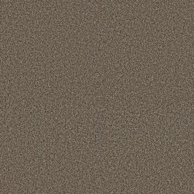 RENEWED ENERGY I in Fence Post Carpet