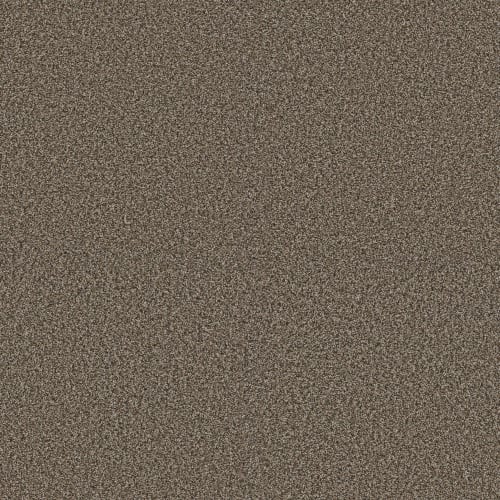 RENEWED ENERGY I in Fence Post Carpet