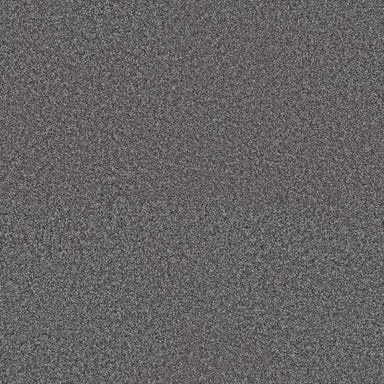 RENEWED ENERGY II in River Rock Carpet