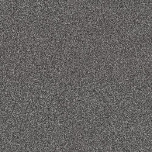 RENEWED ENERGY II in River Rock Carpet