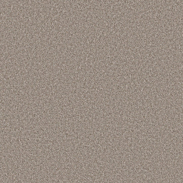 Pebble