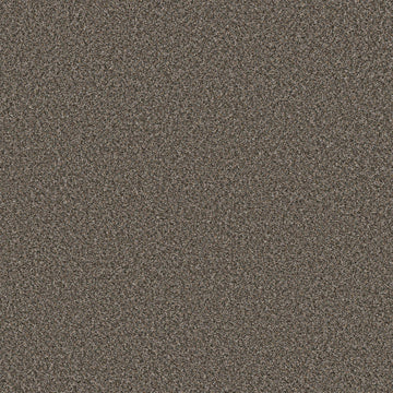Rock Garden
