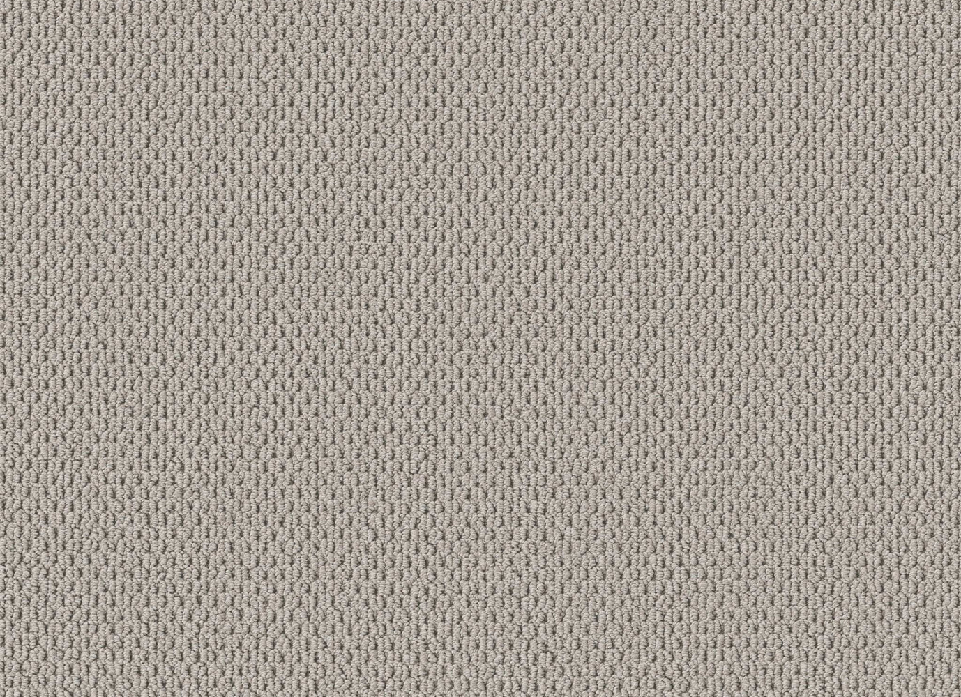 PERSPECTIVE PATH in Quest Carpet