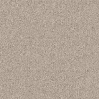 TRUSOLUTIONS II NET in Sugar Cookie Carpet