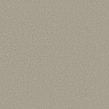 Bleached Oak