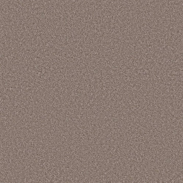 Taupe Dream