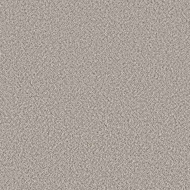 FEELIN' ALRIGHT in Buff Carpet