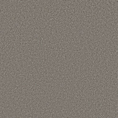 NEW ATTITUDE in Meteor Carpet