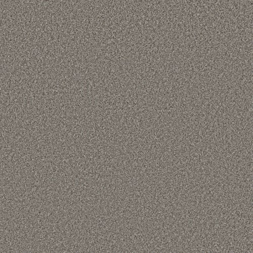 NEW ATTITUDE in Meteor Carpet