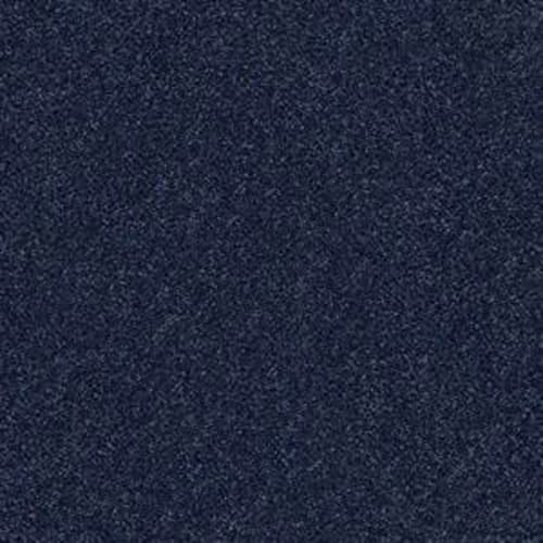 YOUR COMFORT I in Sail Away Carpet