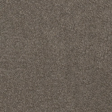 SOFT EFFERVESCENCE in Tree Bark Carpet