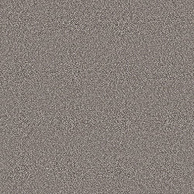 SOFT RADIANCE in Oxford Carpet
