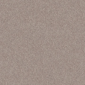 Pale Ecru