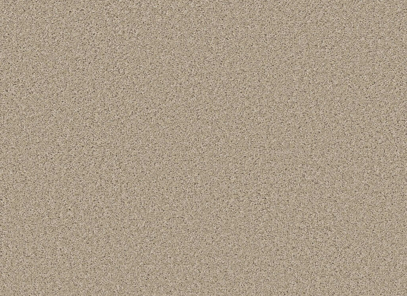HIGH RANKING S in Paradise Carpet