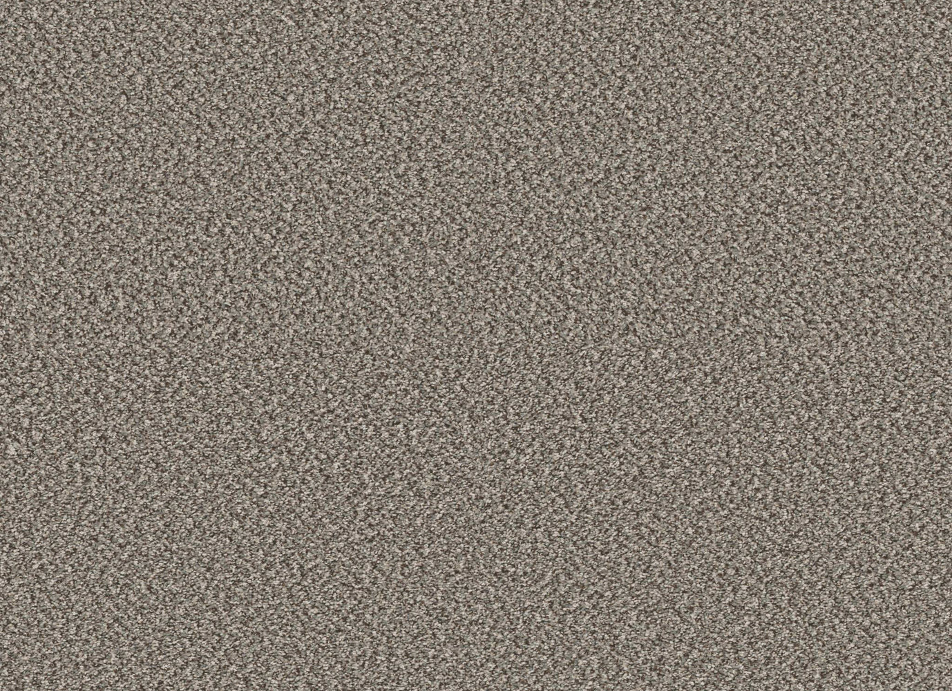 HIGH RANKING B in River Carpet