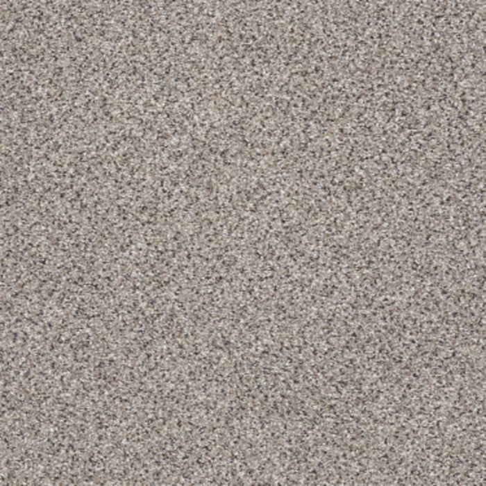 TAKE THE FLOOR ACCENT I