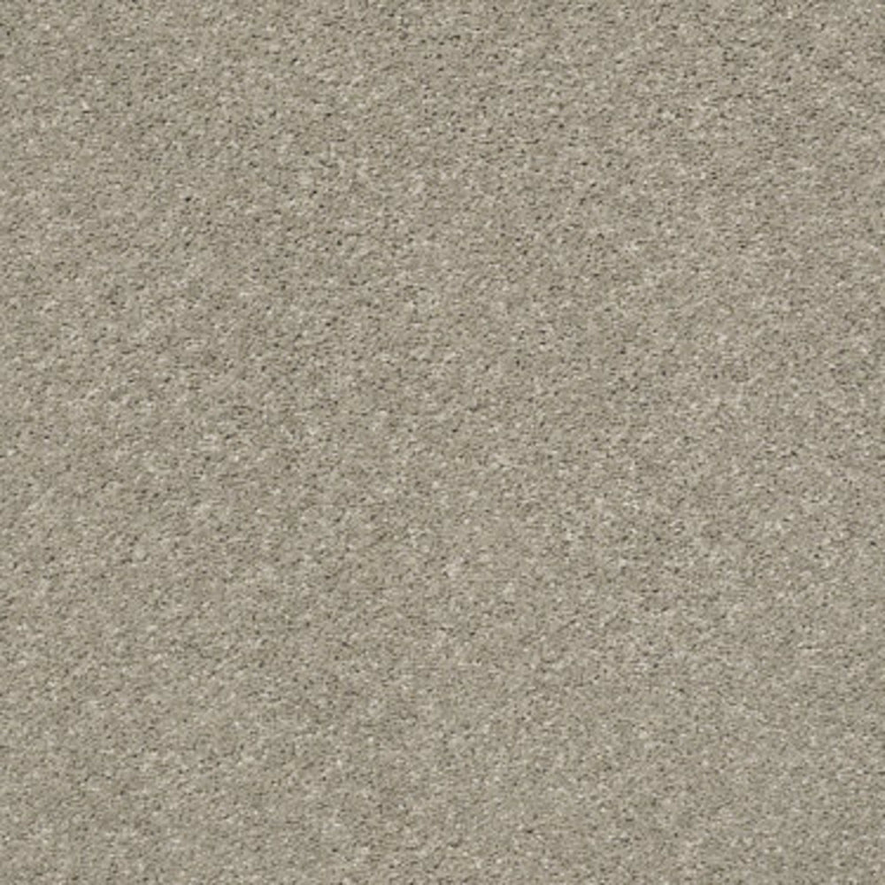 AFTER ALL I in Sandstone Carpet