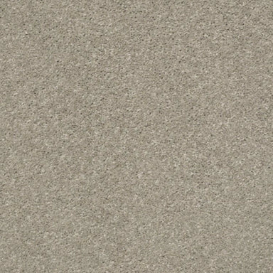 AFTER ALL I in Sandstone Carpet