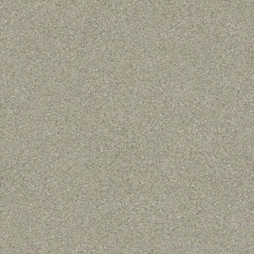 Shoreline Haze