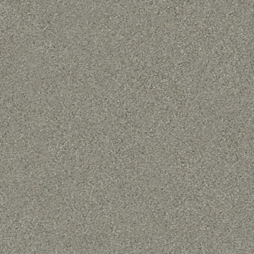 Tempting Taupe