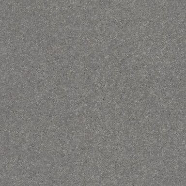 SOLIDIFY II 12' in Taupe Stone Carpet