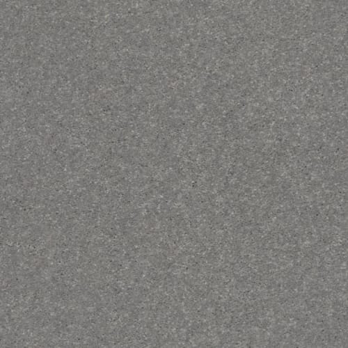 SOLIDIFY II 12' in Taupe Stone Carpet