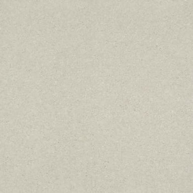 SOLIDIFY III 12' in Minimalist Carpet