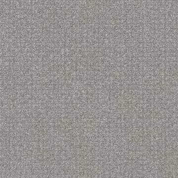 Grey Fox