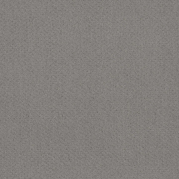 Grey Fox