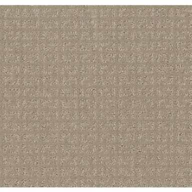 VASTLY in Nature Walk Carpet