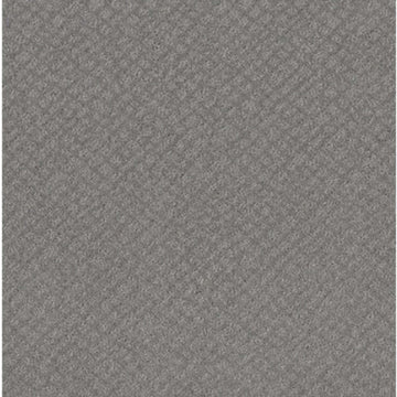 Grey Fox