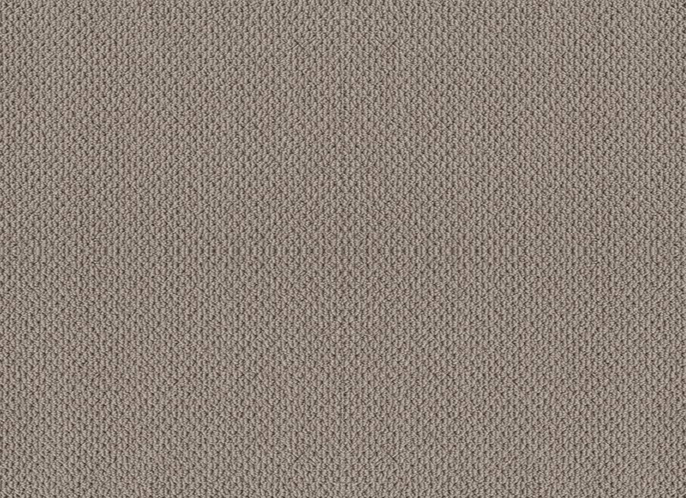 NATURALISTIC in River Run Carpet