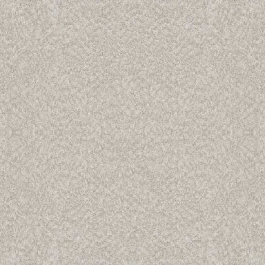 ALLURING CANVAS in Winters Dawn Carpet