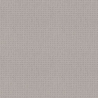 FRAMED VIEW in Warm Greige Carpet