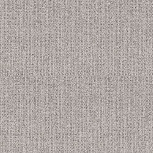 FRAMED VIEW in Warm Greige Carpet