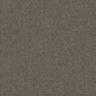 BOUNDLESS II in Slate Stone Carpet