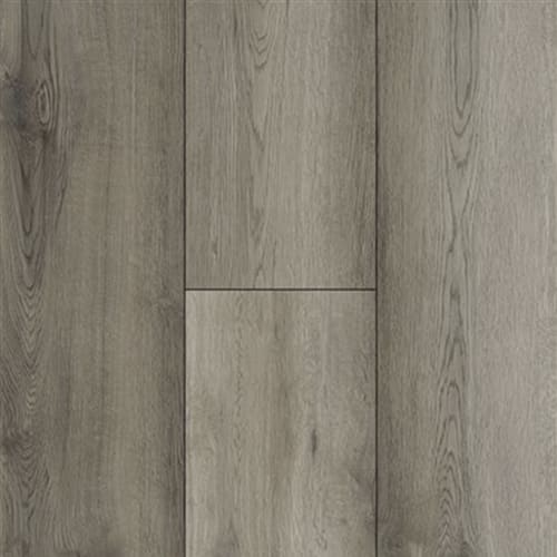 Rigid Plus in Whisper