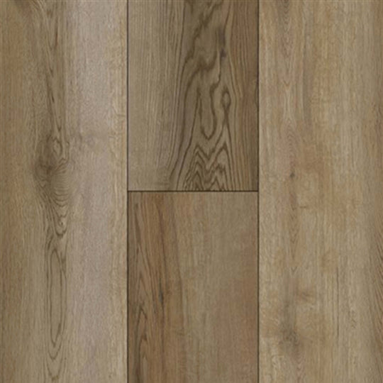 Rigid Plus in Moonshine