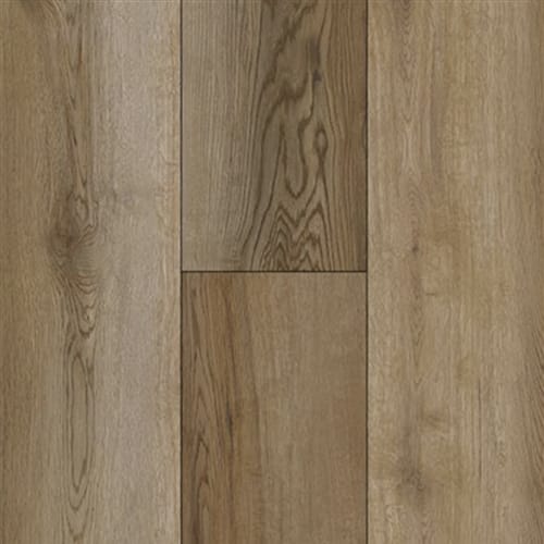 Rigid Plus in Moonshine