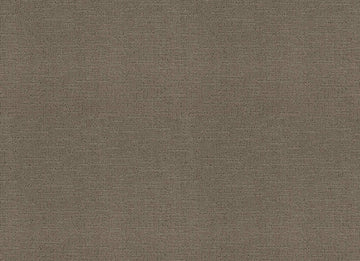 Gray Pearl