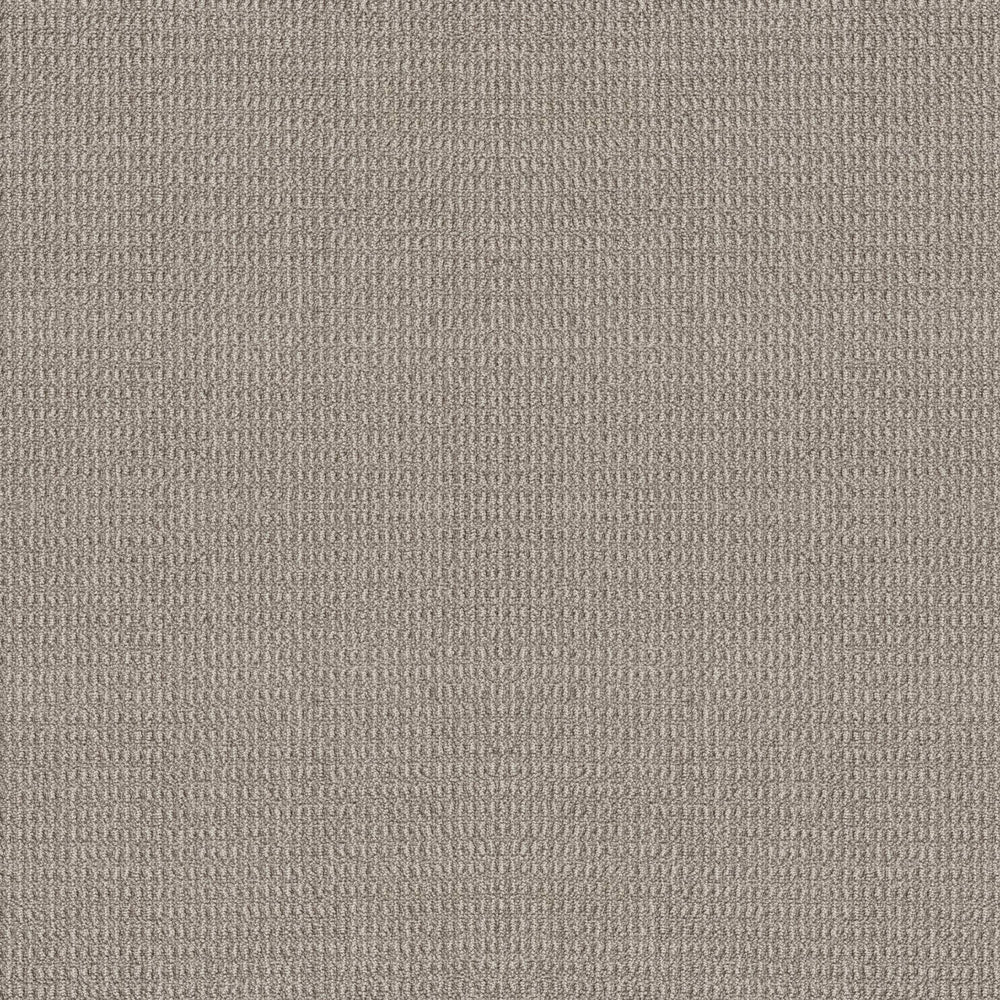 ANAHEIM HILLS in Moonbeam Carpet