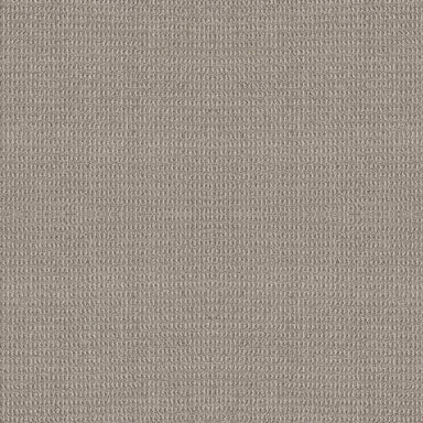 ANAHEIM HILLS in Moonbeam Carpet