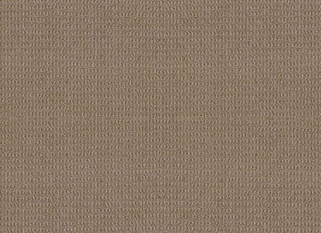 Plaza Taupe
