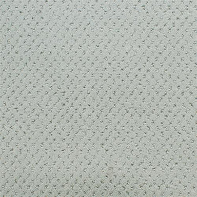 Power Point in Rainsong Carpet